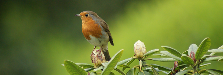 Welcome to our website